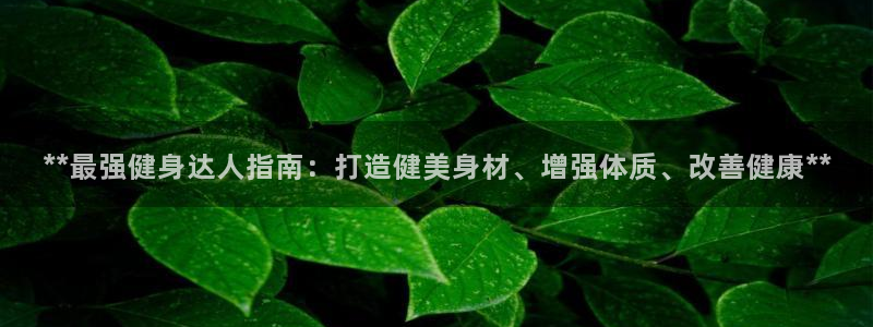 龙8国际服