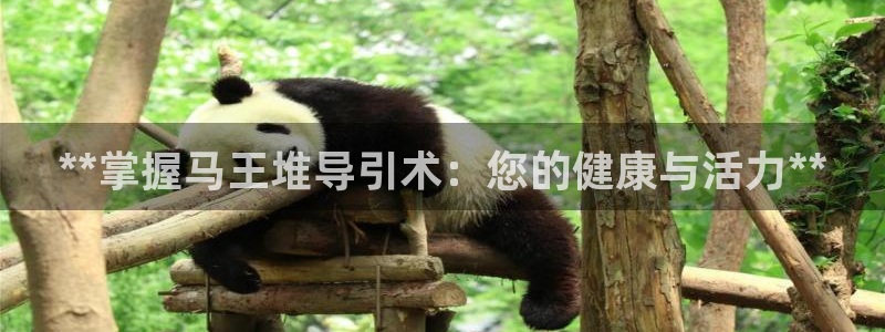 龙8国际pt客户端下载