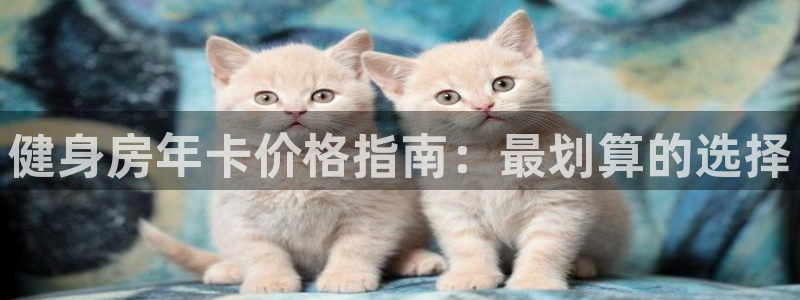龙八国际首页