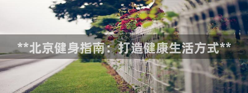 龙8国际电子游戏