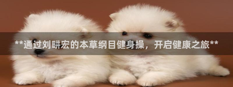 龙8游戏官方网站登录