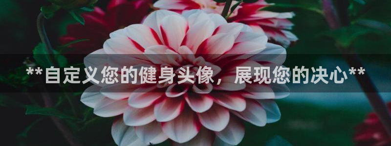 龙8国际首页