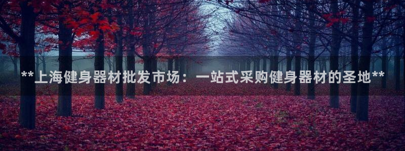 龙8国际游戏官网