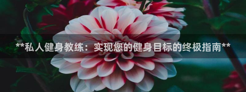 龙8国际怎么进不去了