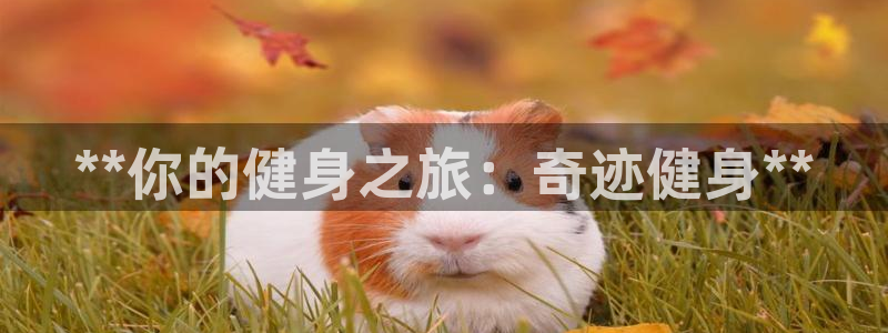 龙8国际游戏公司官网