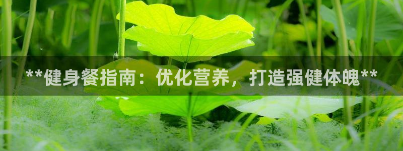 龙8国际官方网站