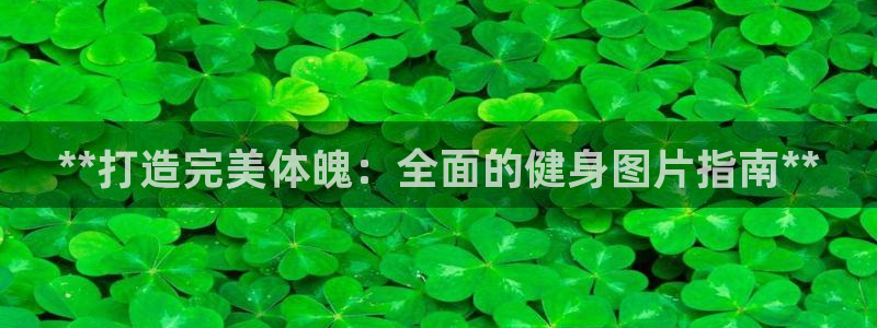 龙8国际中国官方网站