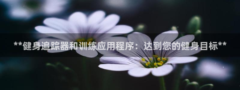 龙8国际官方网址下载