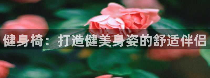 龙八国际娱乐在线游戏