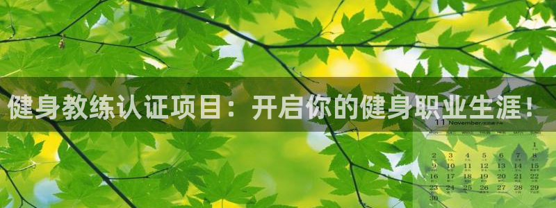 龙八国际网页
