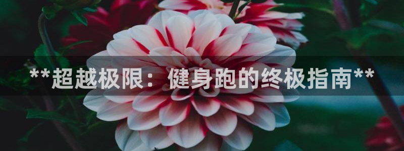 龙8官网游戏