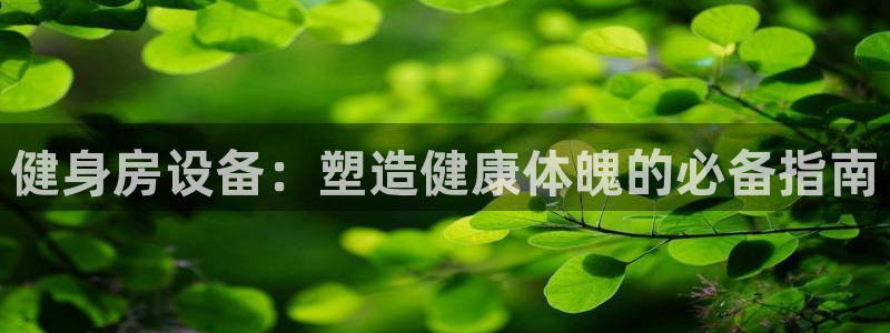 龙8国际游戏官方进入的介绍