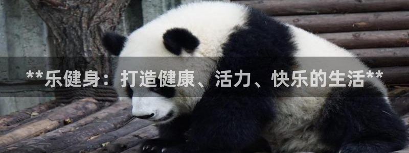 龙8娱乐国际城