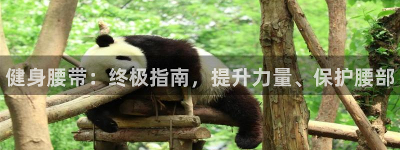 龙8国际手机版app
