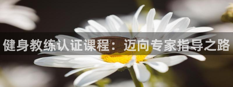 龙8国际手机游戏官网下载