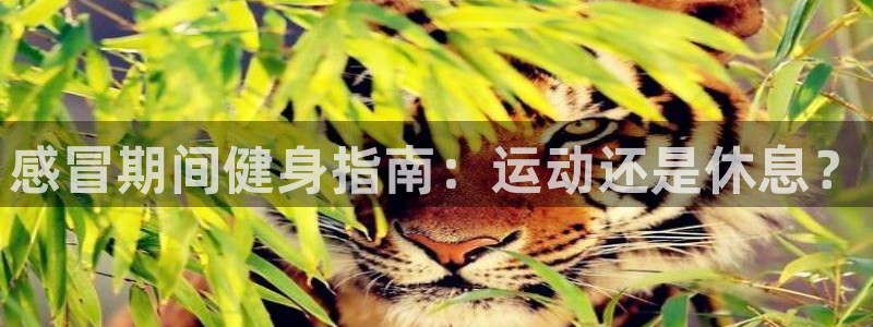 龙8国际害死多少人