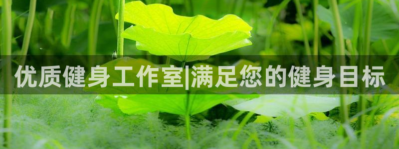 龙八国际娱乐官方网站