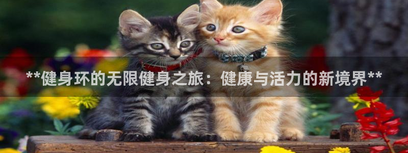 龙8国际唯一官网官方版