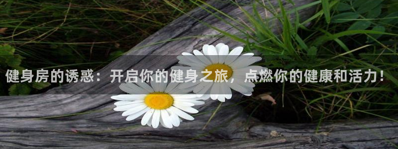 龙8官网老虎机游戏主页