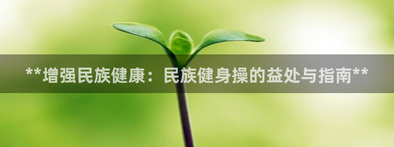 国际龙8下载