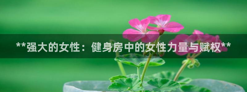 下载龙八国际官网