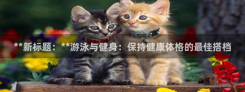 龙8国际手机登