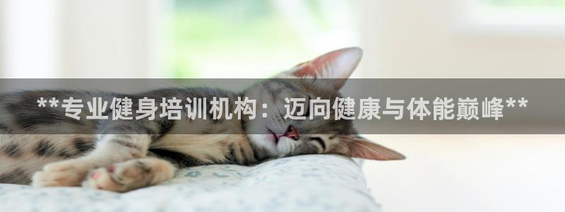 国际龙8官方网站