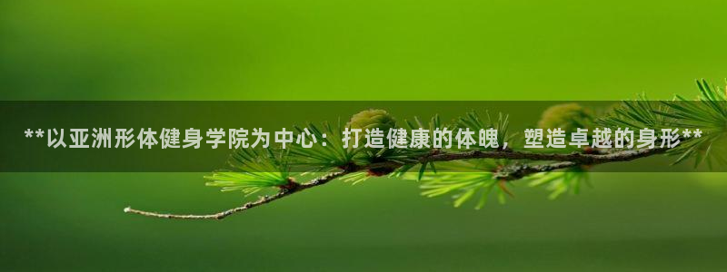 龙8国际游资如何