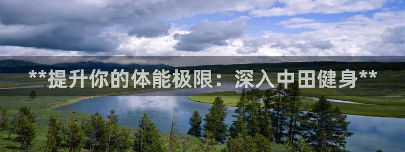 龙8国际的漏洞