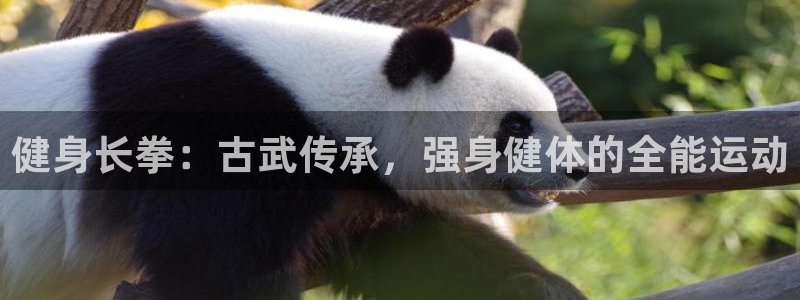 龙8国际游戏公司官网