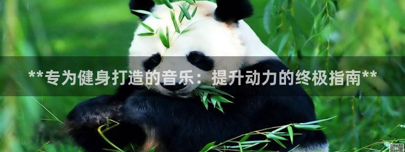 龙8国际平台输了多少