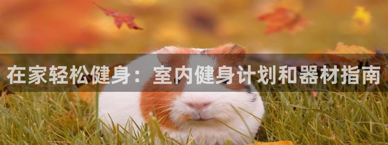 下载龙八国际官网