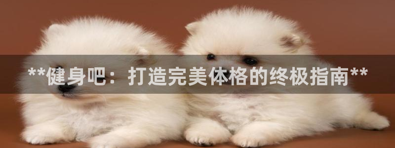 国际龙8官网pt客户端下载