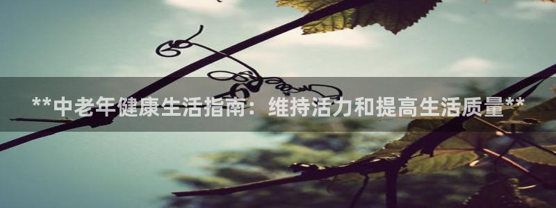 龙8国际手机官网下载