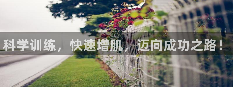 龙8国际城
