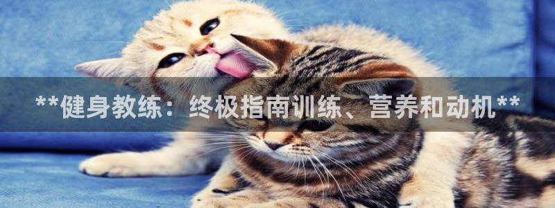 龙八国际下载官网平台