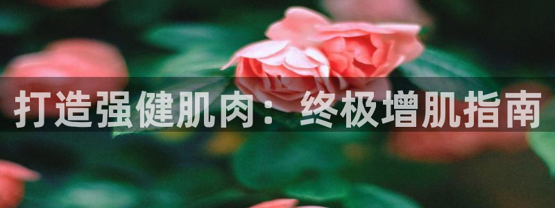 国际龙8官网pt客户端