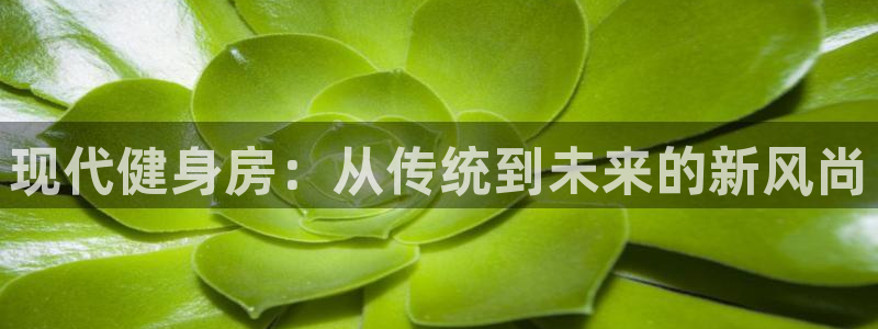 龙8国际头号玩家下载