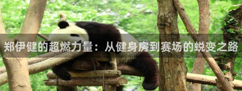 龙8国际pt官方网址