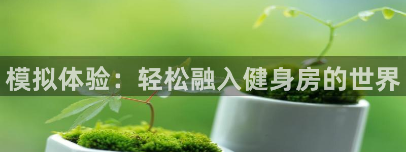 龙8国际官方网站-龙8国际pt老虎机