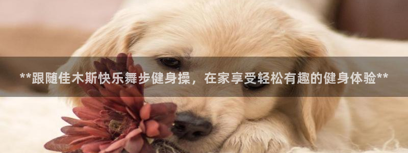 龙8国际官方网站手机版