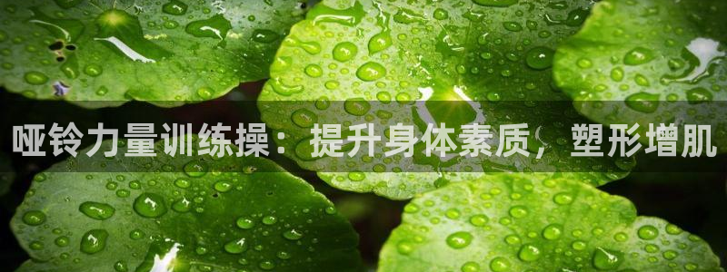 龙8国际官网多少