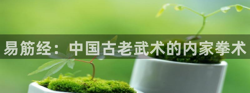 龙8游戏入口