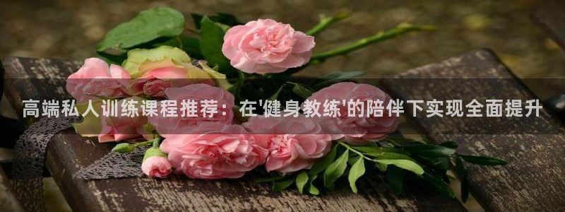 龙八国际pt
