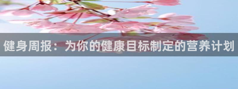 龙8国际官网登录口