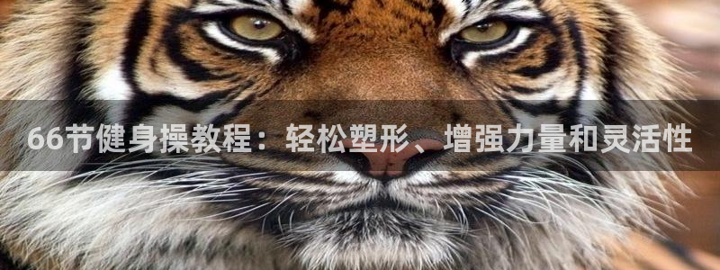 龙8国际官网下载
