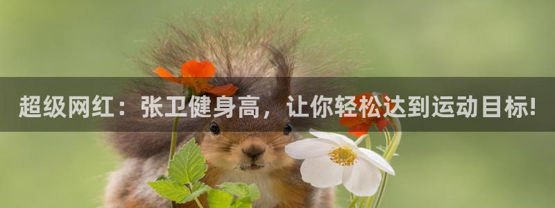龙8官网国际