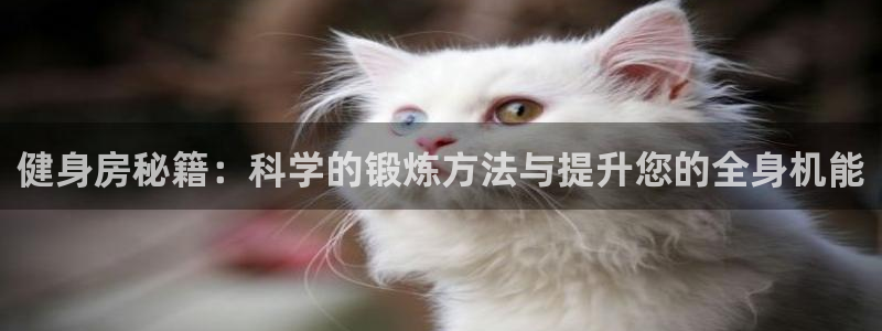 龙8国际在线