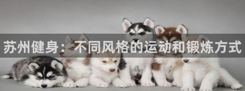龙8国际pt官方网址