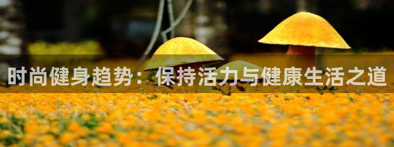 龙8国际总代理